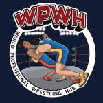 World Professional Wrestling Hub
