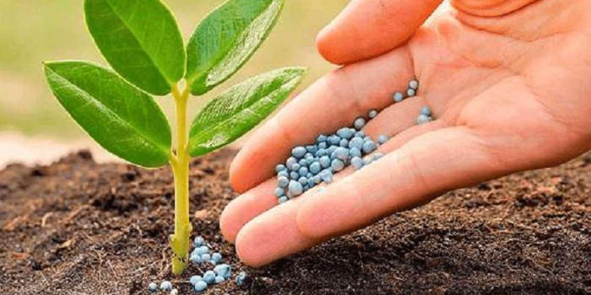 Specialty Fertilizers Market Positioned for a 6.23% CAGR Growth by 2030