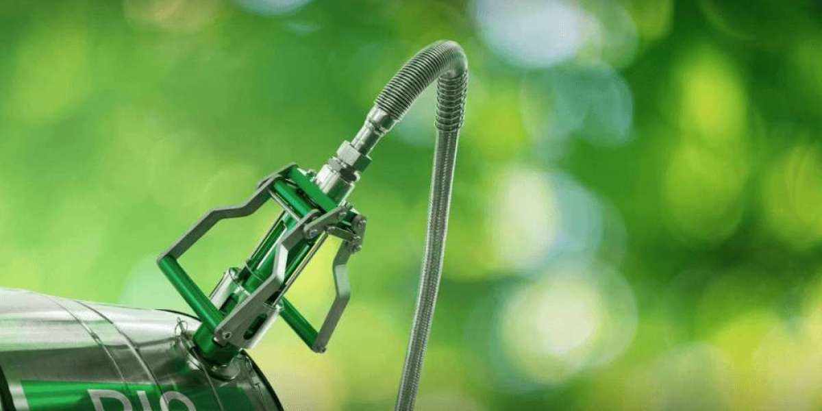 Liquid Biofuel Market Industry Report: Size and Growth Forecast 2028