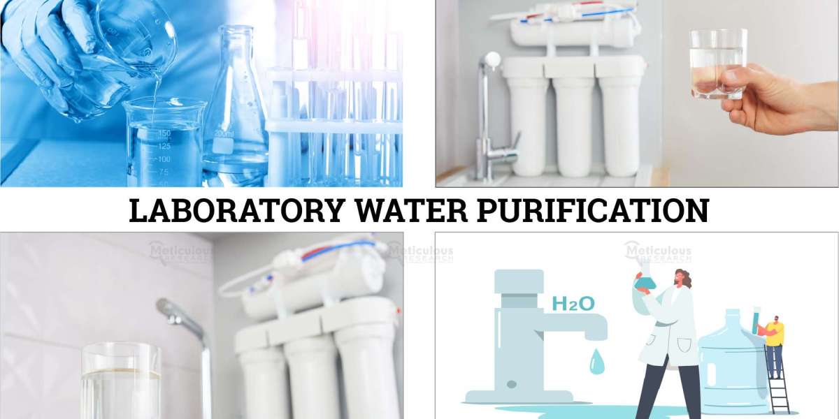 Meticulous Research® Forecasts Laboratory Water Purification Market to Reach $5.44 Billion by 2031