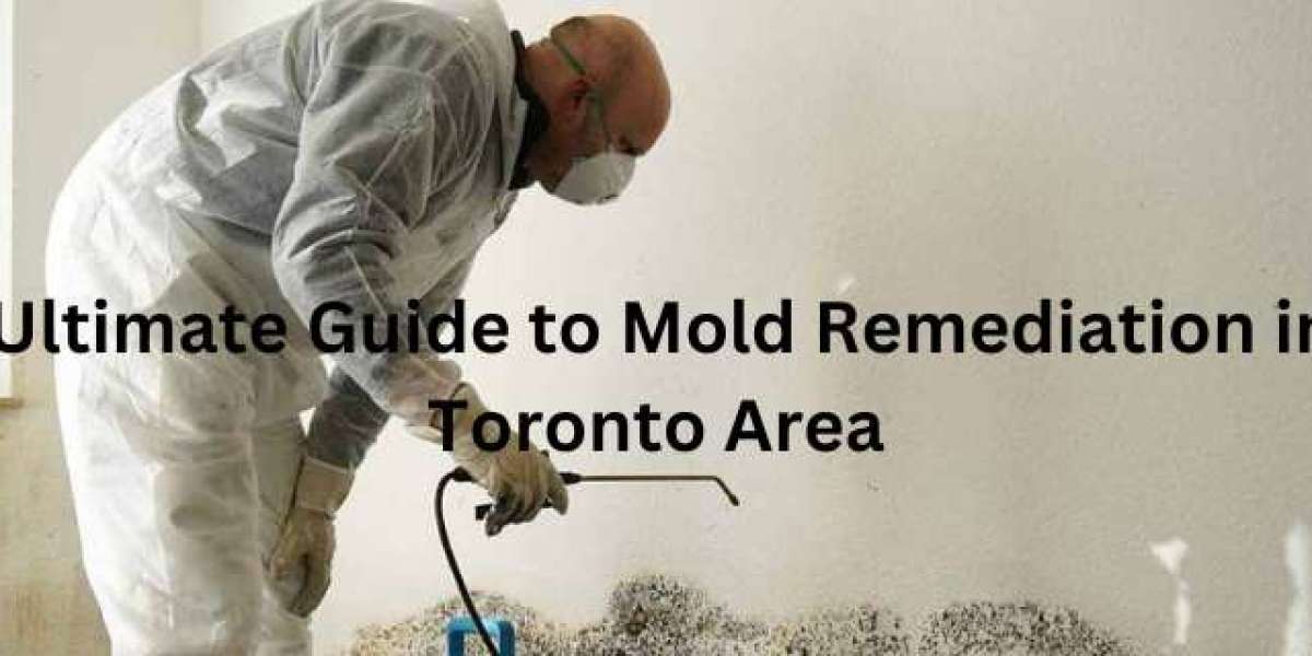 A Comprehensive Guide to Remediation in the Toronto Area