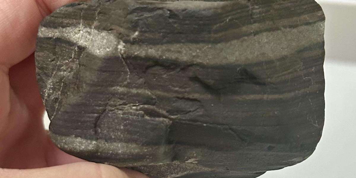 Gneiss Market | Industry Outlook Research Report 2023-2032 By Value Market Research