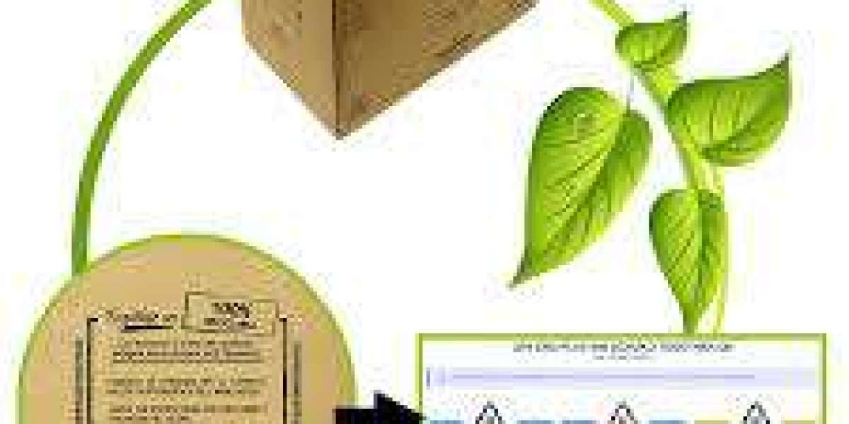 most sustainable packaging