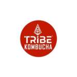 Mountain Tribe Kombucha Profile Picture