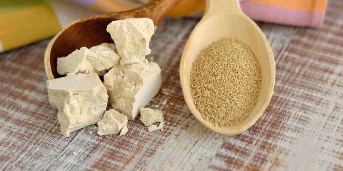 Yeast Extract Market Trends and Industry Growth by Forecast to 2027