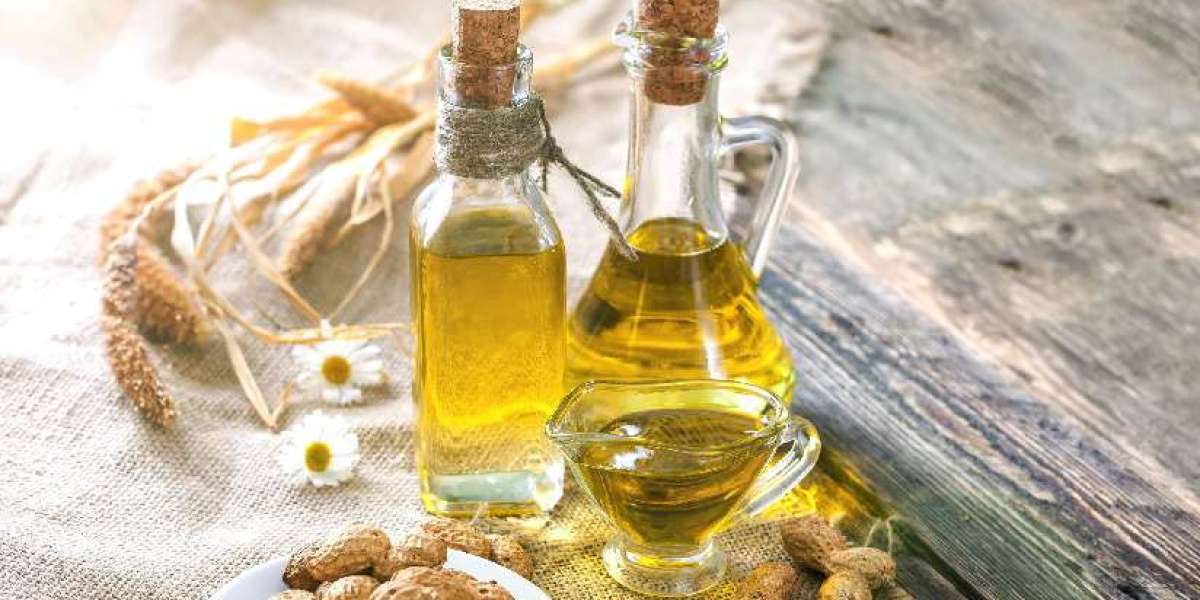 Groundnut Oil Manufacturing Plant Project Report 2024: Business Plan, Manufacturing Process, and Raw Materials