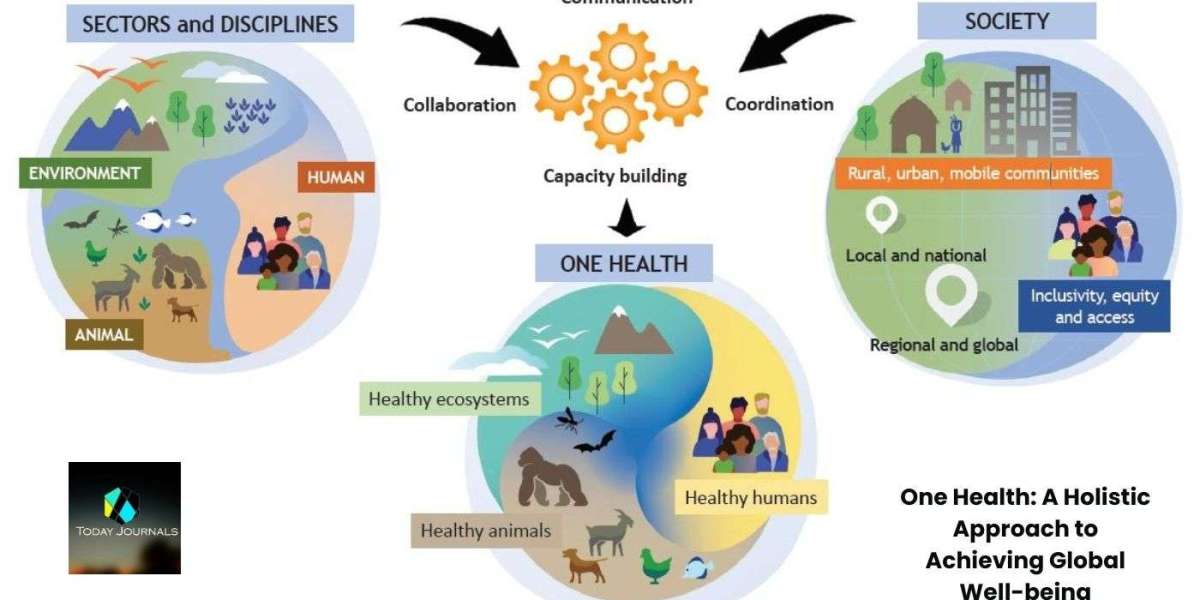 One Health: A Holistic Approach to Achieving Global Well-being