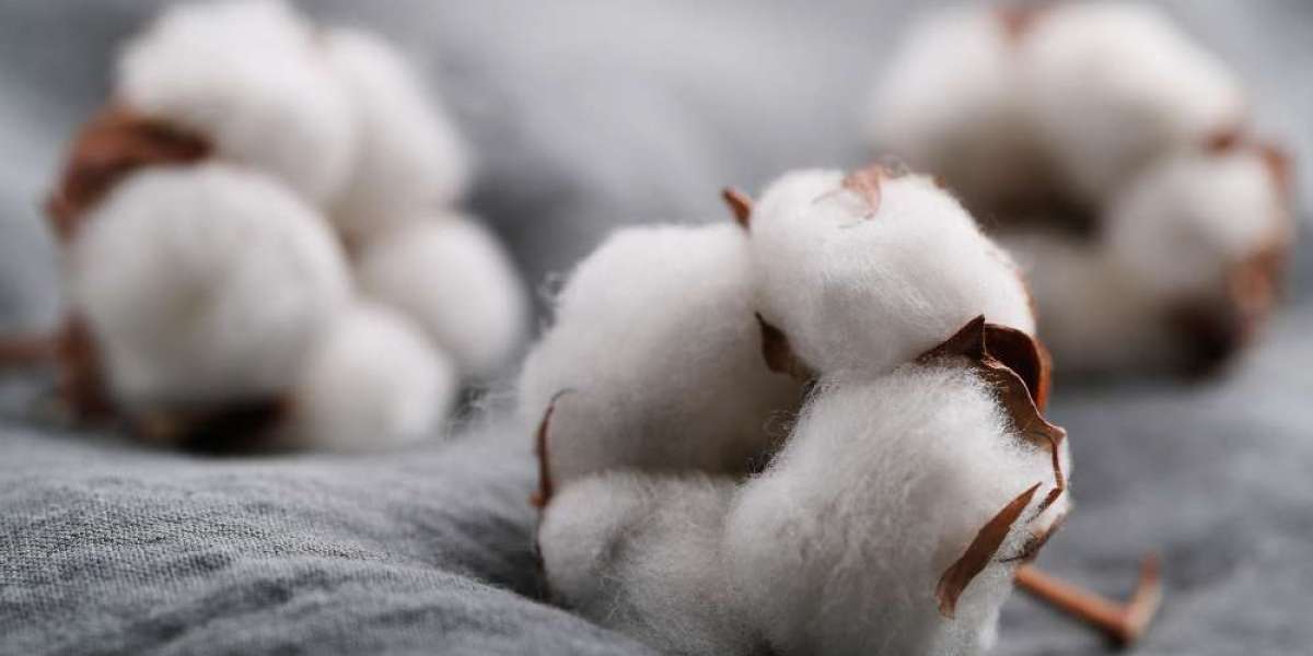 CCI Cotton Price: A Reliable Indicator for Commodity Investors?