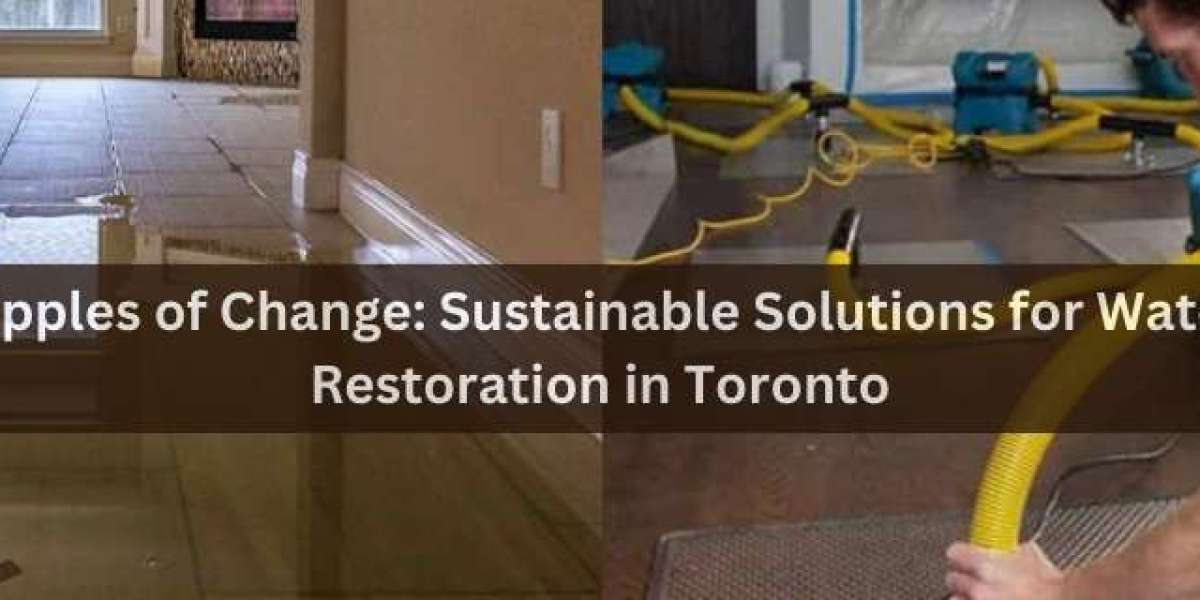 Ripples of Change: Sustainable Solutions for Water Restoration in Toronto