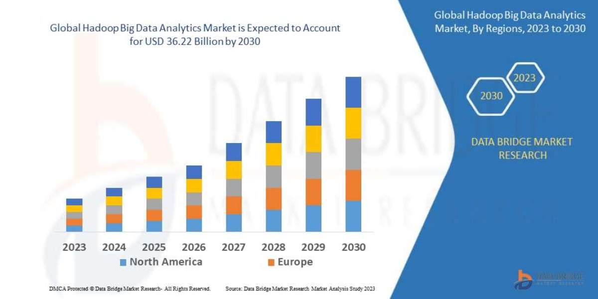 Hadoop Big Data Analytics  Market Size, Share, Trends, Growth Opportunities and Competitive Outlook Forecast by 2030