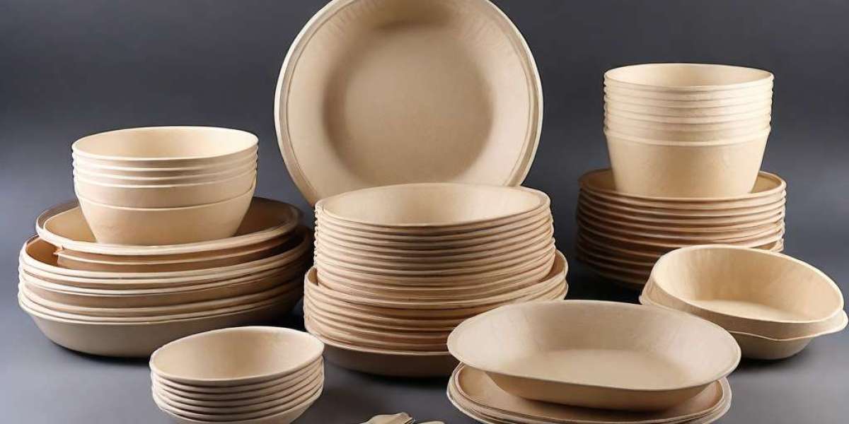 Biodegradable Disposable Tableware Manufacturing Plant Project Report 2024: Industry Trends, Plant Setup, Machinery and 