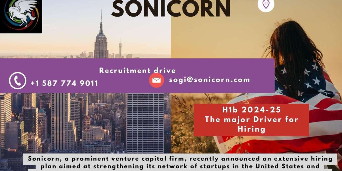 The Essentials of H1B Visa: Insight and Fulfillment by Sonicorn