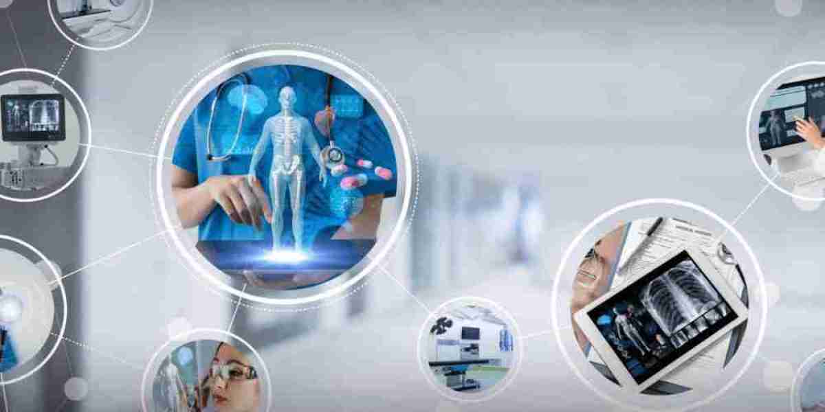 Clinical Trial Management System Market Research Report: Size and Revenue Forecast