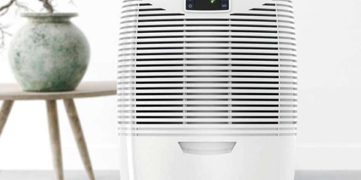 Unveiling the Future: A Deep Dive into Dehumidifier Clothes Dryers