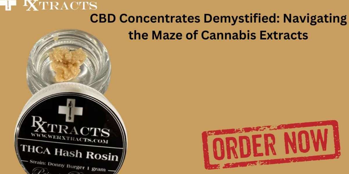 CBD Concentrates Demystified: Navigating the Maze of Cannabis Extracts