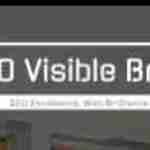 Seo Visible Brain