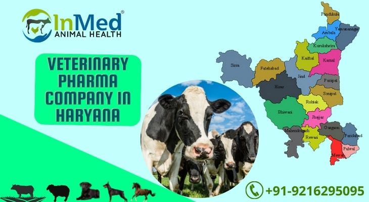 Veterinary Pharma Company in Haryana - Inmed Animal Health