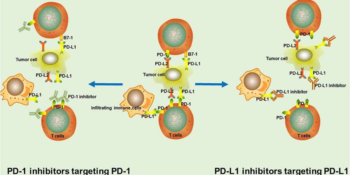 PD-1 And PD-L1 Inhibitors Market Size, Growth & Industry Analysis Report, 2032