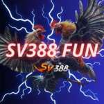 SV388 Fun