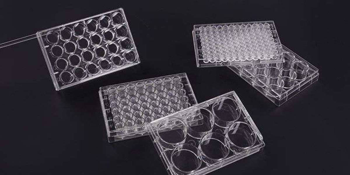 What Are Cell Culture Plates Used for?