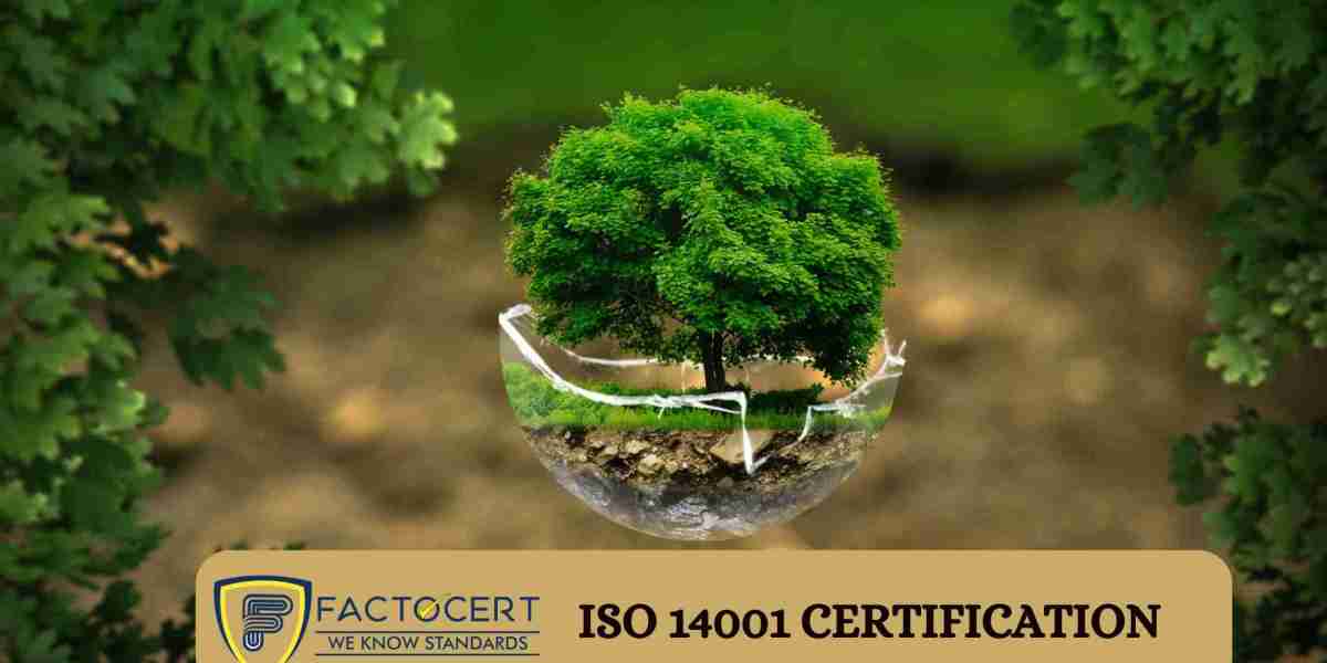 What are the steps involved in ISO 14001 certification?