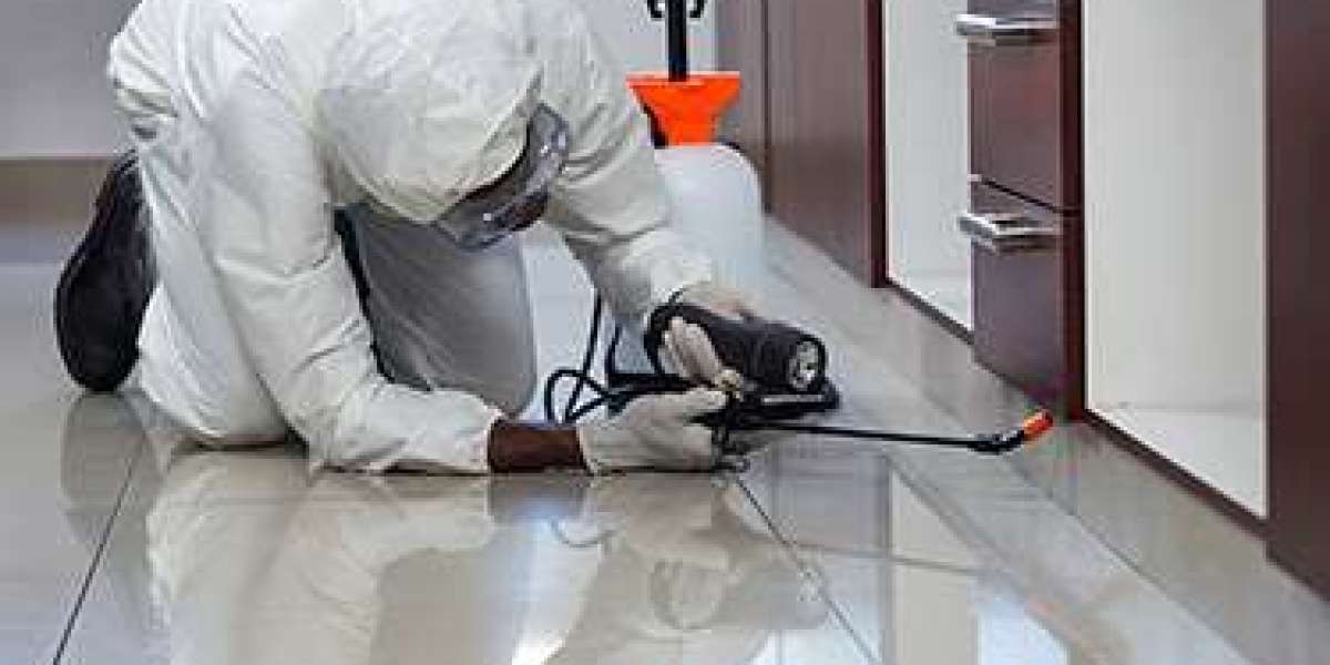 Enhancing Healthcare Environments: The Vital Role of Pest Control Services