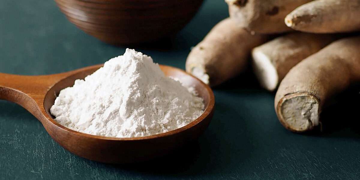 Cassava Starch Market Trends, Size, Share, Leading Companies, Opportunity and Forecast 2024-2032