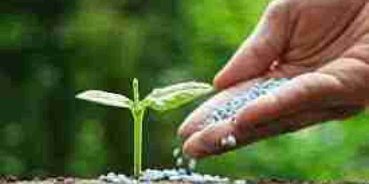 US Bio Fertilizers Market Share Evolution 2024-2030"