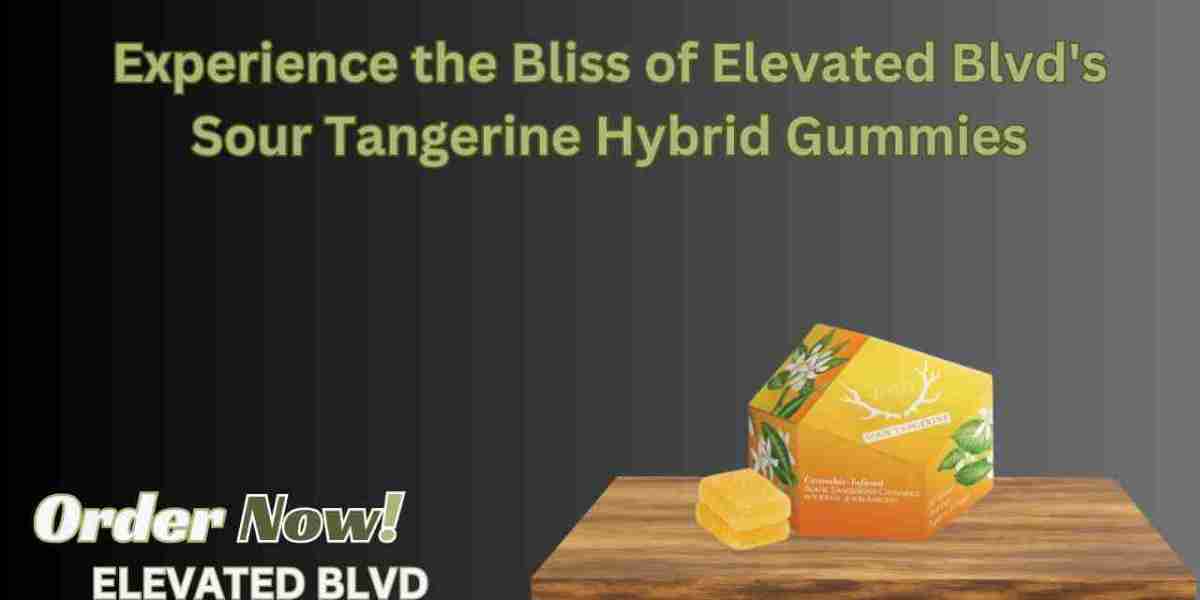 Experience the Bliss of Elevated Blvd's Sour Tangerine Hybrid Gummies