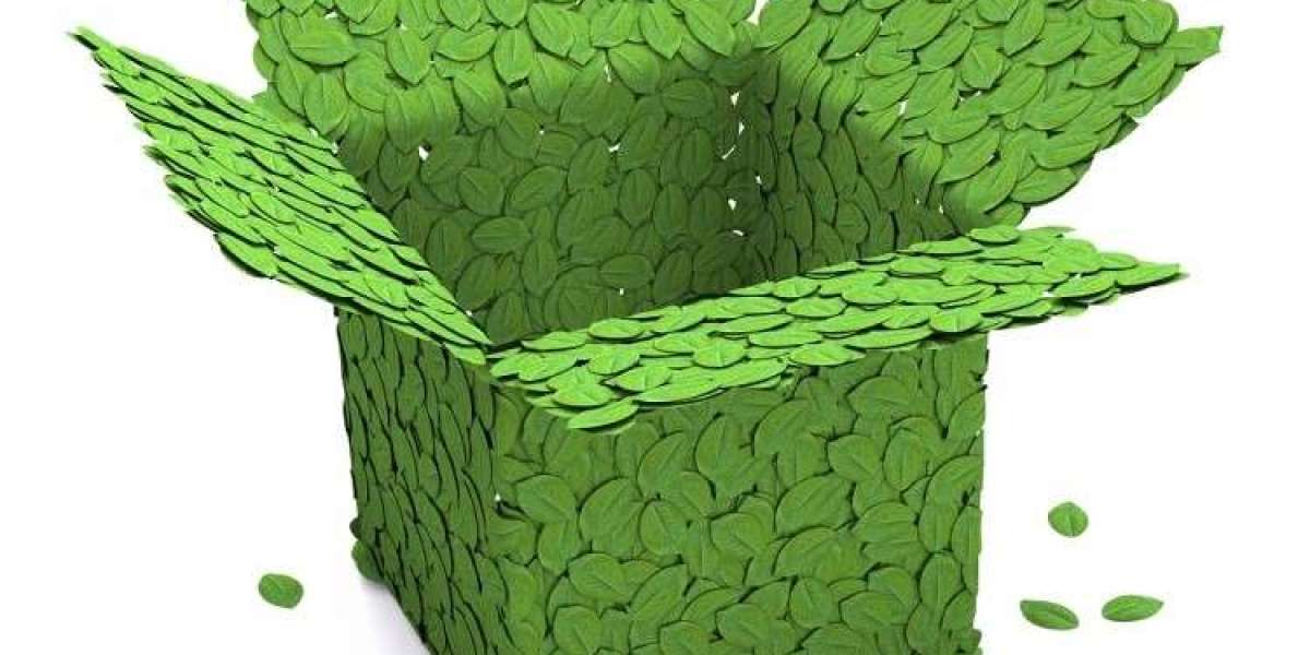 Green Packaging Market Industry Analysis, Forecast 2022 To 2030