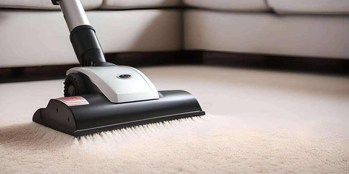 Carpet Cleaning Advice Detroit Lakes MN