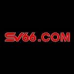 SV66 Company