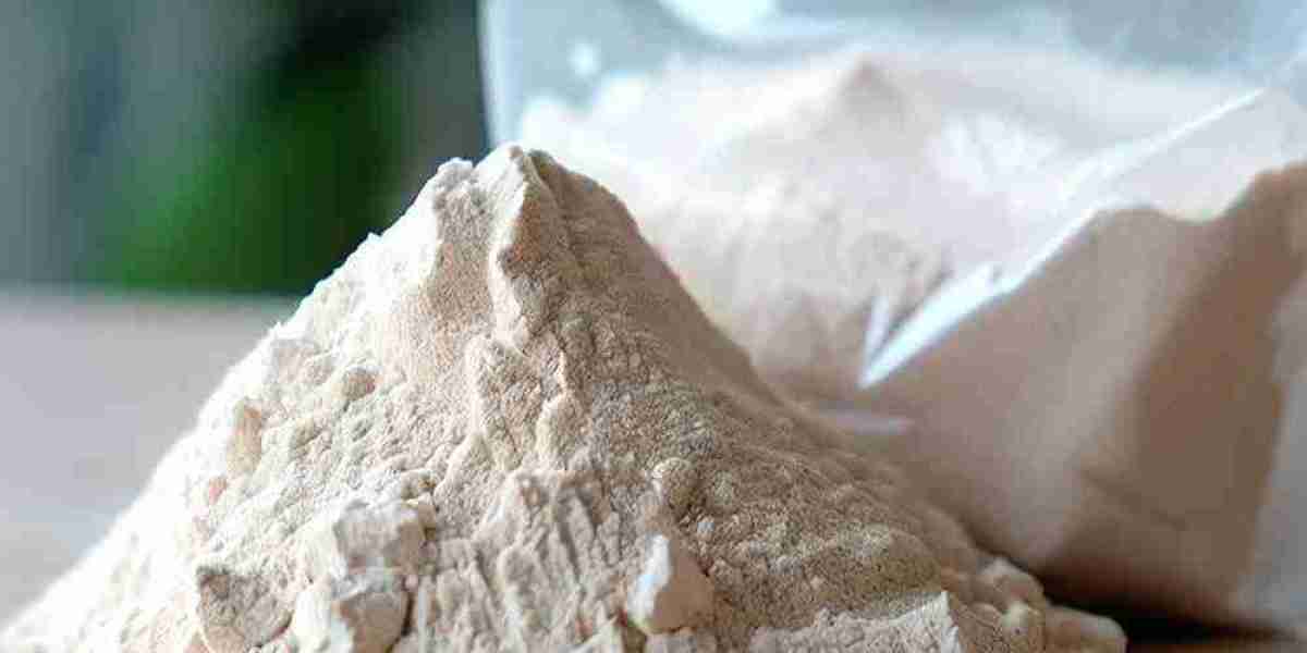 Dolomite Powder Market Report: Latest Industry Outlook & Current Trends 2023 to 2032