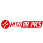 Miso 88 Profile Picture