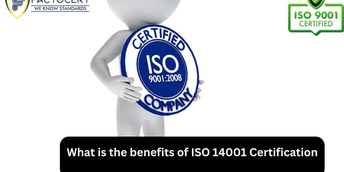 ISO 14001 Certification in Abu Dhabi.