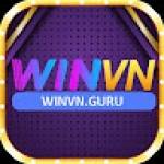 WINVN GURU Profile Picture
