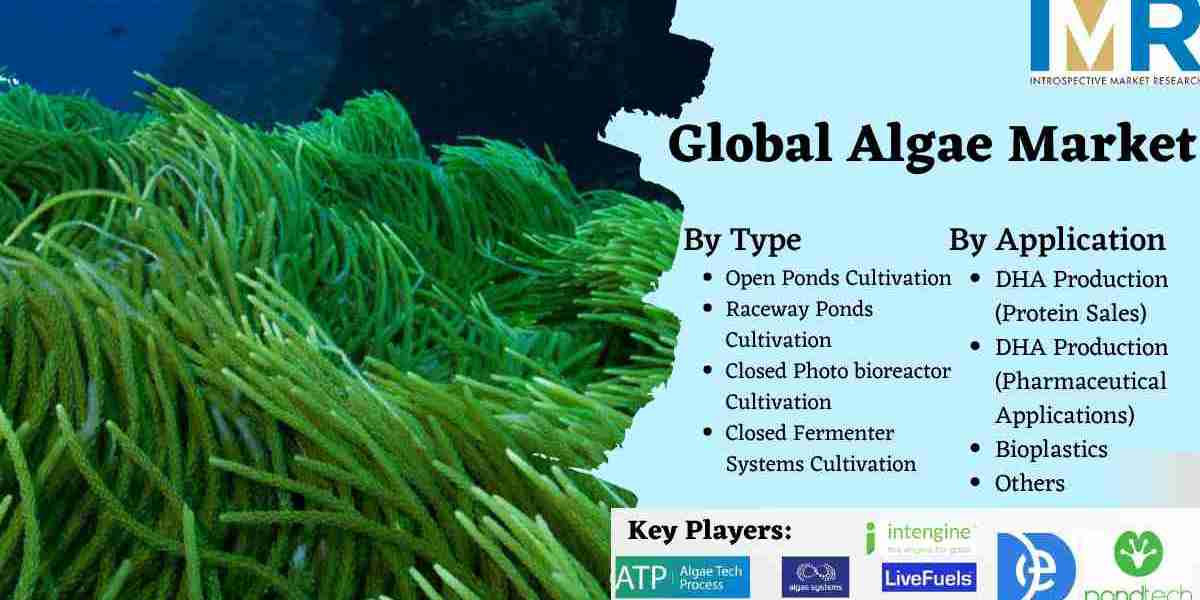 Global Algae Market Share, Size, Growth, Worth, Impact & Forecast Till 2030- Report By IMR