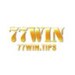 77WIN TIPS Profile Picture