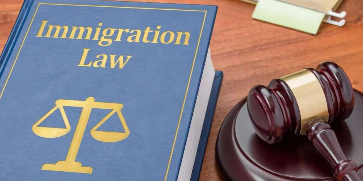 The Role of an Immigration Lawyer in Family-Based Immigration Cases