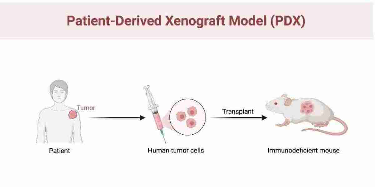 Investing in Innovation: Patient-Derived Xenograft Model Market Surges Amidst Growing Demand