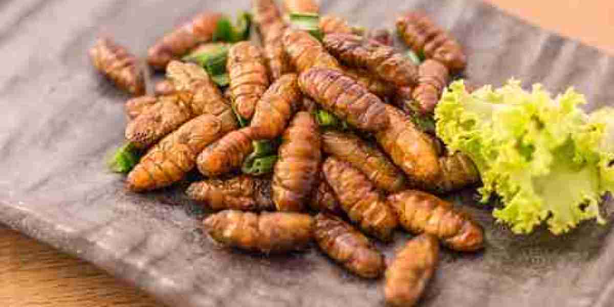 Edible Insects Market Trends, Statistics, Key Players, Revenue, and Forecast 2032