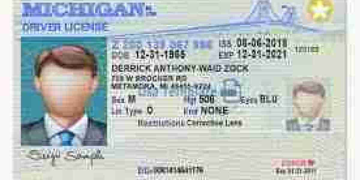 The Evolution of Michigan's Counterfeit Driver's Licenses