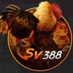 sv388 page