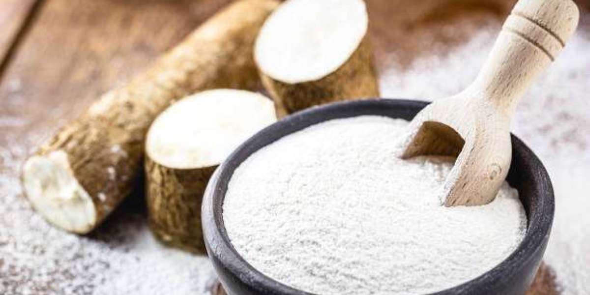 Cassava Starch Manufacturing Plant Project Report 2024: Comprehensive Business Plan, and Manufacturing Process