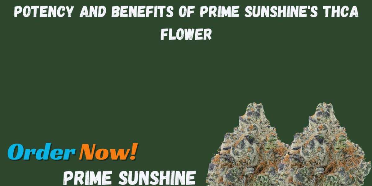 Potency and Benefits of Prime Sunshine's THCA Flower
