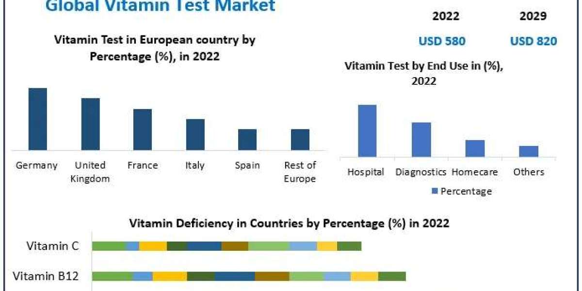Precision Nutrition: Vitamin Test Market Trends and Future Developments (2024-2030)