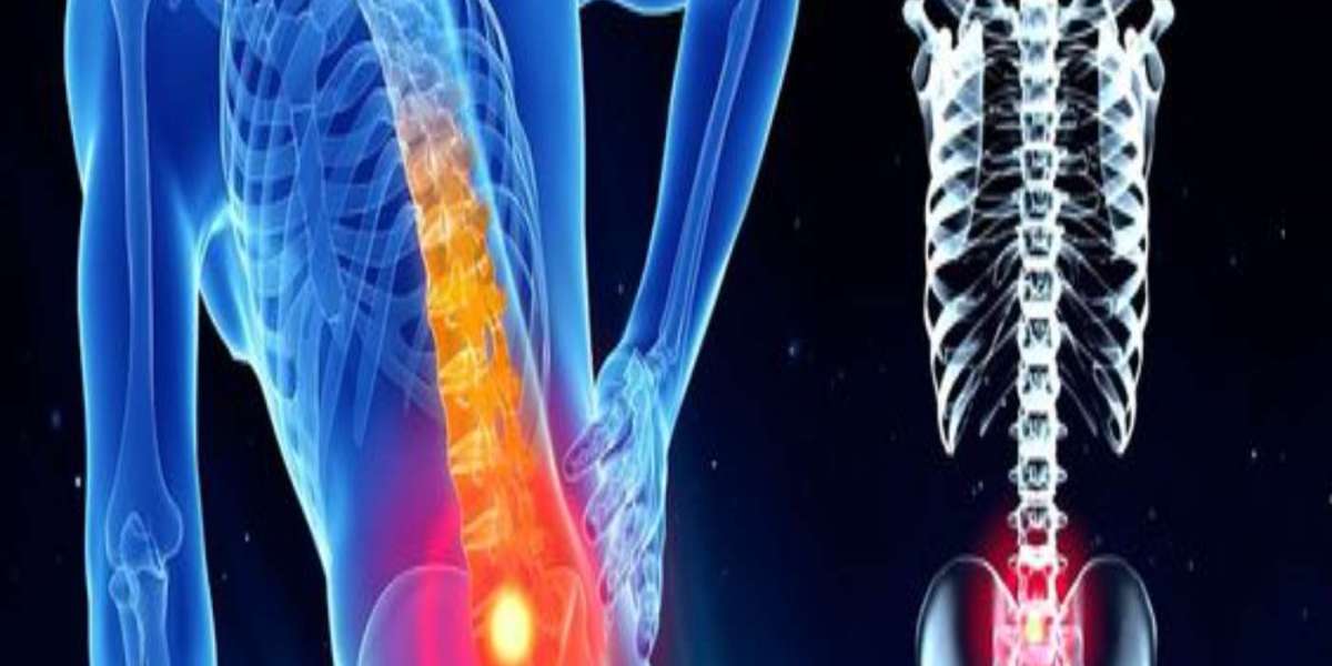10 Common Misconceptions About Joint Plus CBD Gummies for Pain Relief