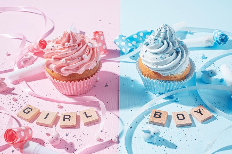 Gender Reveal Cake | Unveiling the Joy