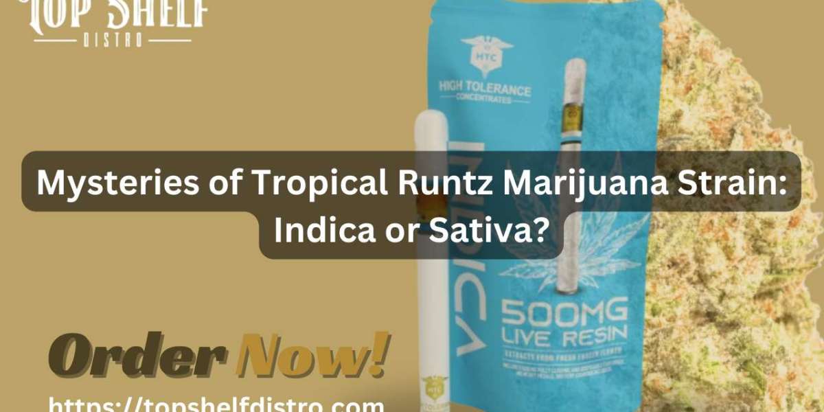 Mysteries of Tropical Runtz Marijuana Strain: Indica or Sativa?