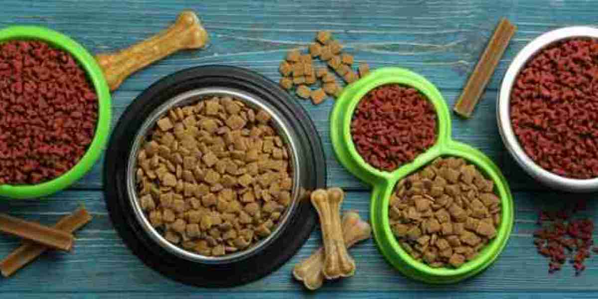 Nutritious Delights: Dog Food Dubai to Keep Pets Happy